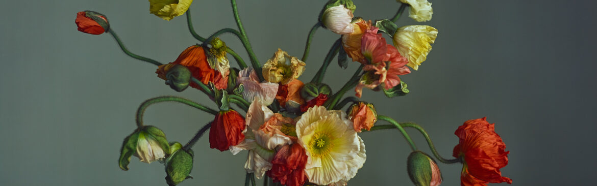 ‘Unearthed’ at The Dulwich Picture Gallery: Where does urbanity end and nature begin?