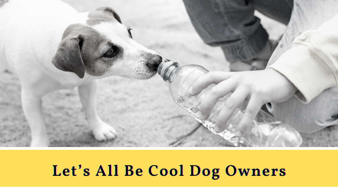Let’s All Be Cool Dog Owners