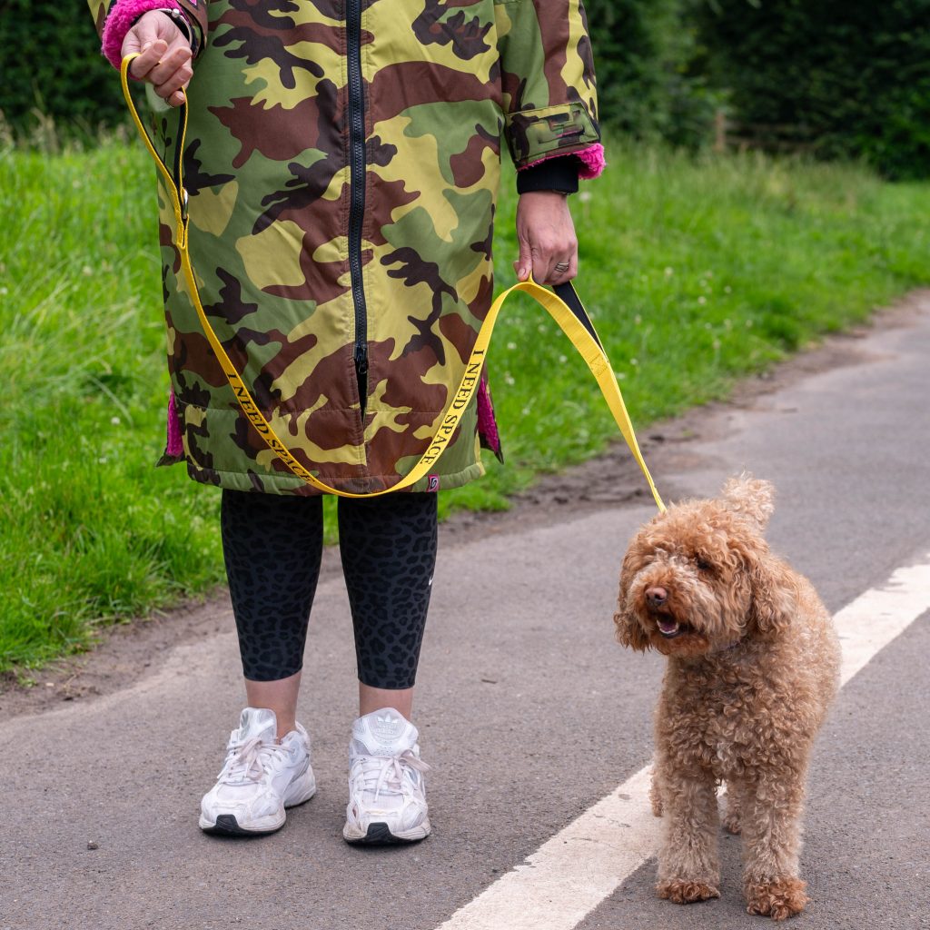 Dog Walking
